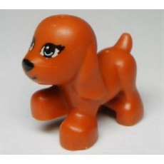 Dark Orange Dog Small Walking with Blue Eyes and Black Nose and Mouth Pattern