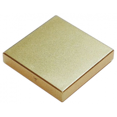 Metallic Gold Tile 2 x 2 with Groove