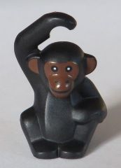 Black Chicken, Chimpanzee with Reddish Brown Face and Ears Pattern (BAM)