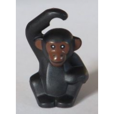 Black Chicken, Chimpanzee with Reddish Brown Face and Ears Pattern (BAM)