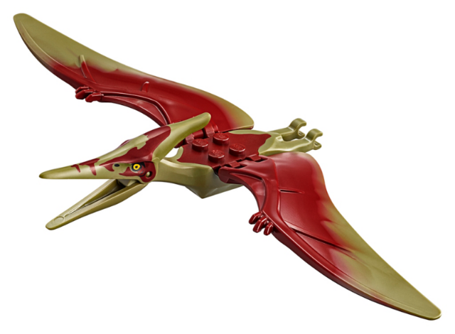 Dinosaur Pteranodon with Dark Red Back and Small Oval Nostrils